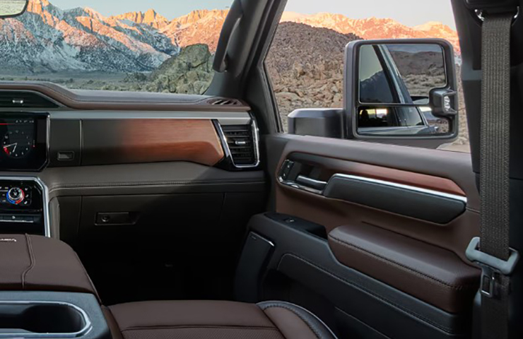 Door Panel Wood Trim Condition