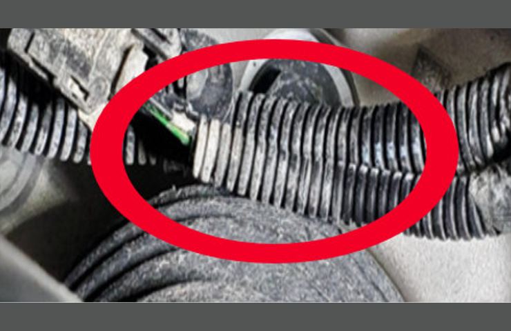 Brake Pad Wear Sensor Contact with Rear Half Shaft